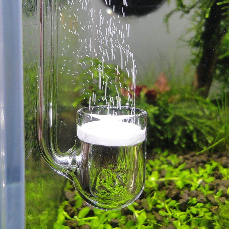 Aquarium Plant No Co2 - D0AD แก้ว CO2 Diffuser สำหรับพิพิธภัณฑ์สัตว์น้ำปลูกสำหรับถัง Simple