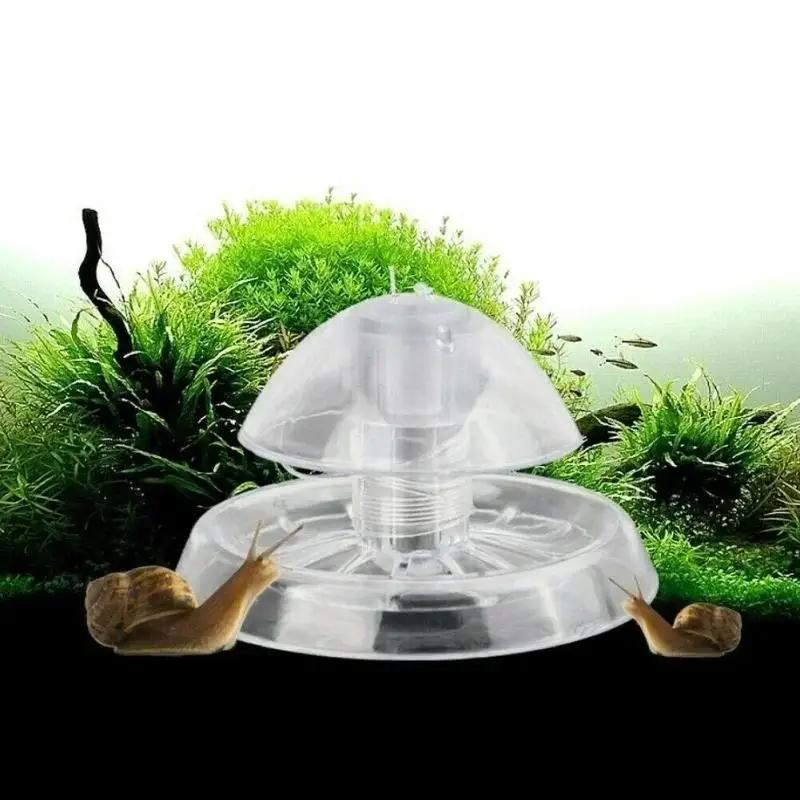 Planted Aquarium Cleaning - กับดักหอยทากพลาสติกใสขนาด 6/8 ซม. รุ่นใหม่ ปี 2026