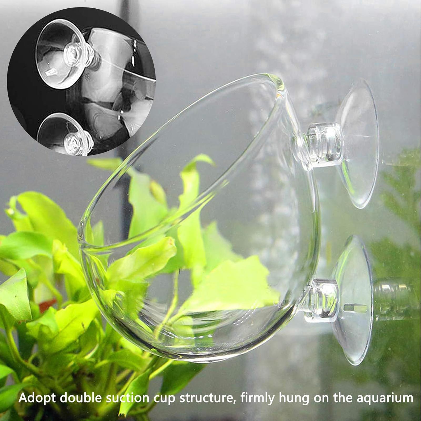 Aquarium Plant Vine - กระถางแก้วสำหรับปลูกต้นไม้ในตู้ปลา พร้อมจุกดูดสุญญากาศ สำหรับปลูกพืชและปลา ใช้ตกแต่งตู้ปลา