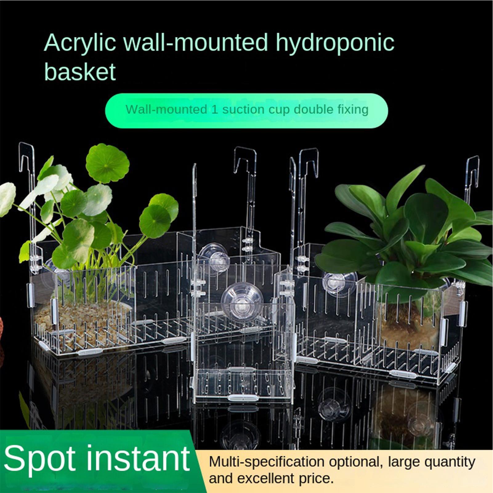 Aquarium Plant Vine - ที่แขวนต้นไม้ในตู้ปลาอะคริลิก ปรับความสูงได้ สำหรับปลูกพืชแบบไฮโดรโปนิกส์ ชั้นวางใสสำหรับแขวนใต้น้ำ ตกแต่งตู้ปลาด้วยมอสและไม้เลื้อย