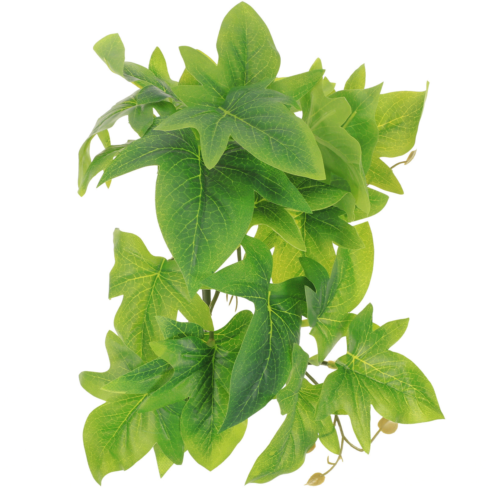 Aquarium Plant Vine - ต้นไม้ประดับติดผนังสำหรับตู้เลี้ยงสัตว์เลื้อยคลาน ใบไม้ประดิษฐ์ ตกแต่งตู้ปลา กล่องเลี้ยงสัตว์เลื้อยคลาน และตู้ปลาสวยงาม