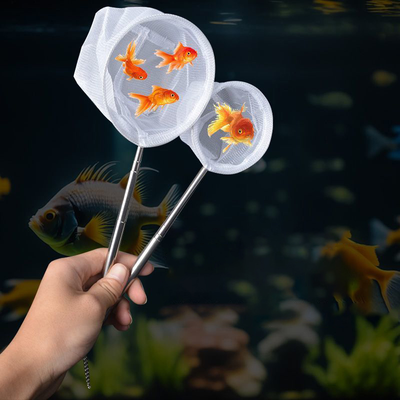 (BF06) ตาข่ายดักปลาสำหรับตู้ปล - Planted Aquarium Cleaning บทวิจารณ์และราคา