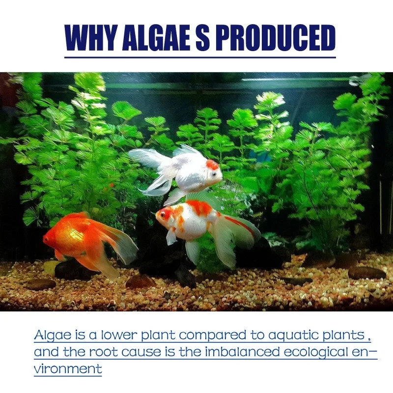 สารกำจัดสาหร่ายประสิทธิภาพสูง  - Aquarium Plant Liquid Fertilizer บทวิจารณ์และราคา