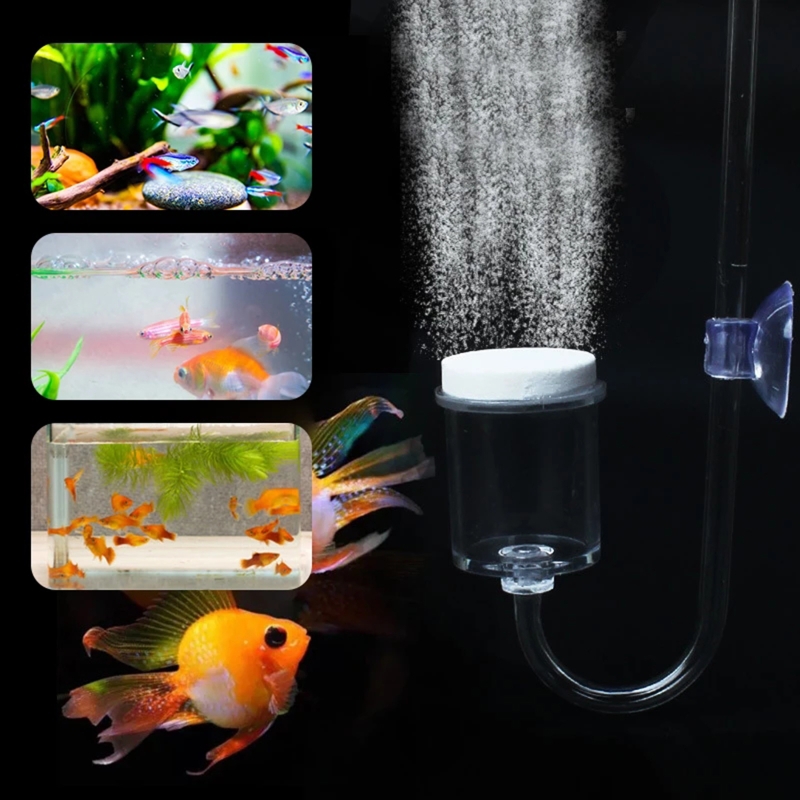 DIY ชุดกระจาย CO2 4ชิ้นสำหรับต - Aquarium Plant Vine บทวิจารณ์และราคา
