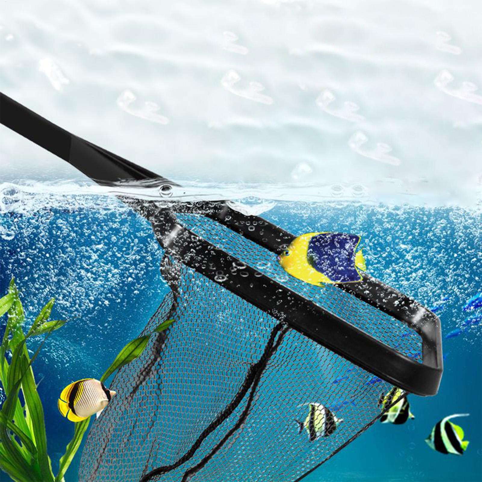 ตาข่ายสระน้ำ ถังปลา ตาข่ายกู้ภ - Planted Aquarium Cleaning บทวิจารณ์และราคา