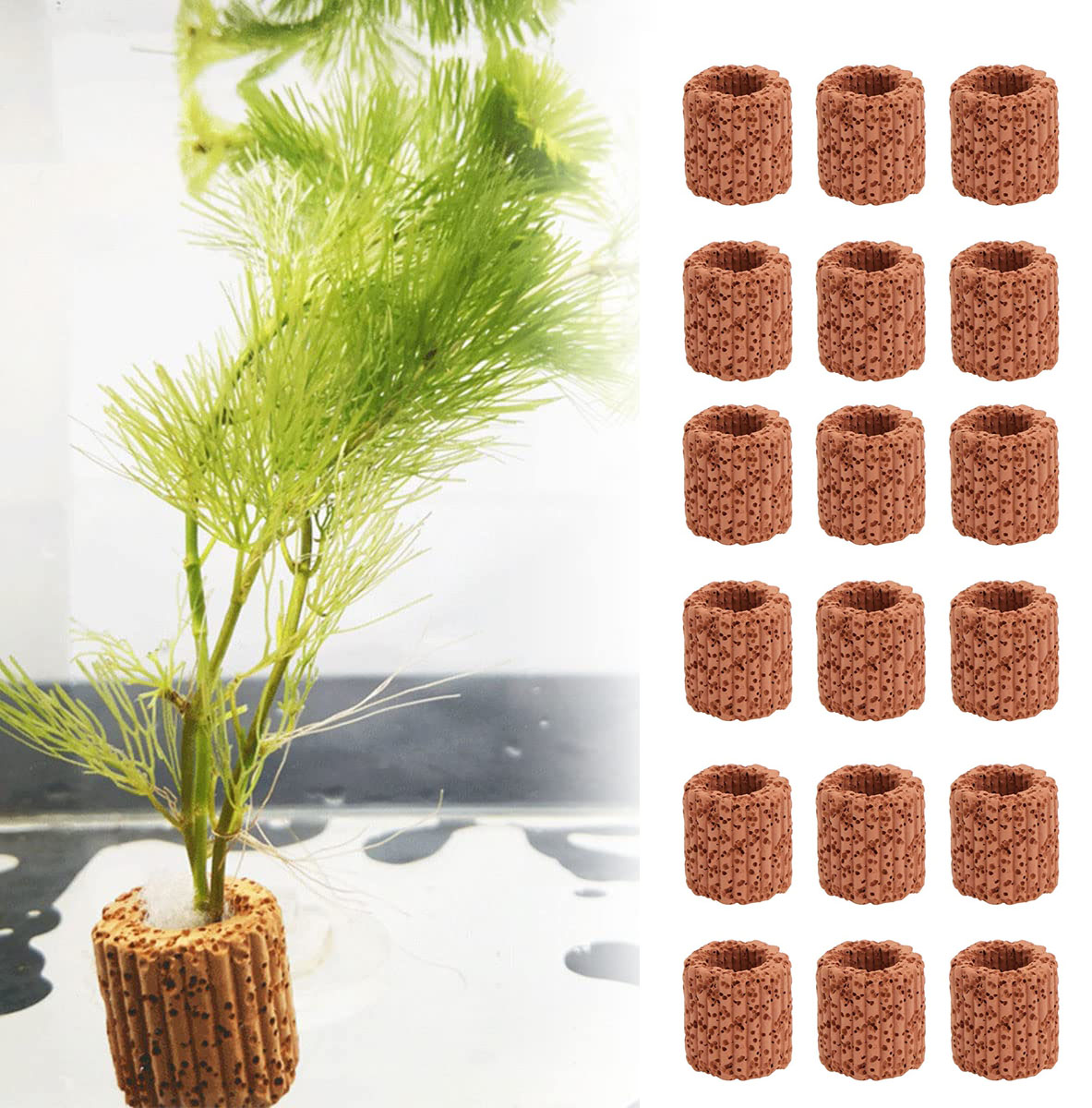 ของตกแต่งตู้ปลาแหวนกระถางต้นไม - Aquarium Plant บทวิจารณ์และราคา