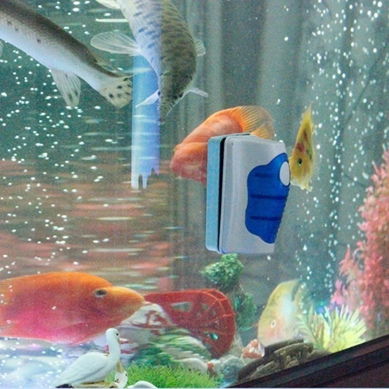 ตู้ปลาเครื่องขูดกระจกทําความสะ - Planted Aquarium Cleaning บทวิจารณ์และราคา