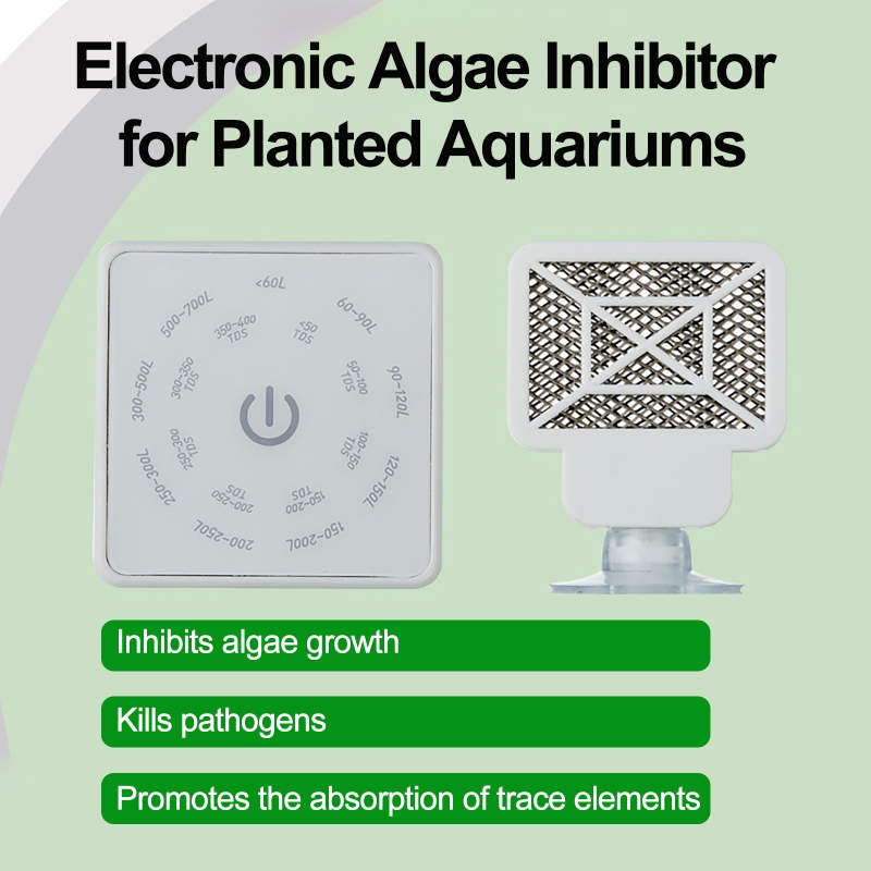เครื่องมือทำความสะอาดตู้ปลาอิเ - Planted Aquarium Cleaning บทวิจารณ์และราคา