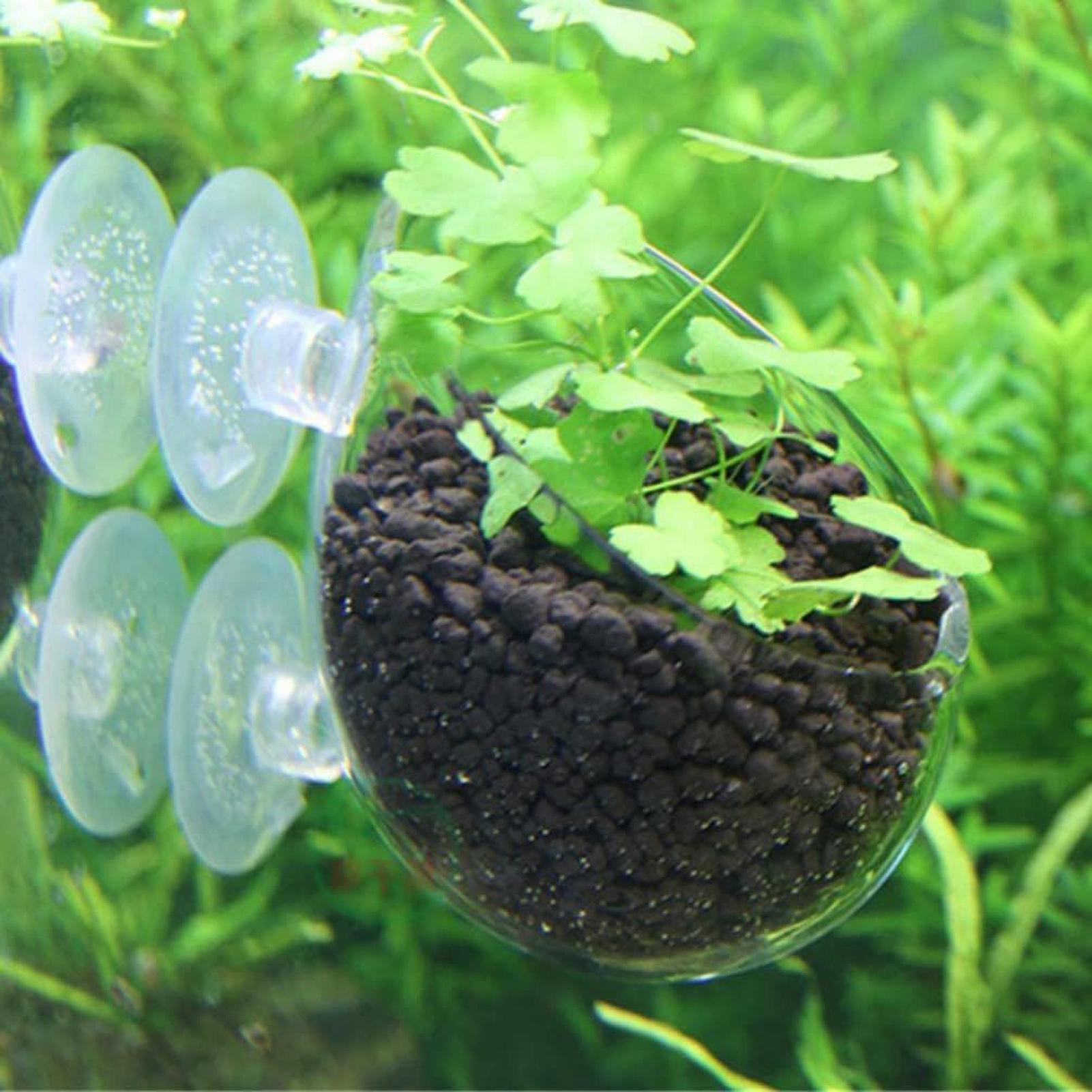 กระถางแก้วสำหรับปลูกต้นไม้ในตู - Aquarium Plant Vine บทวิจารณ์และราคา