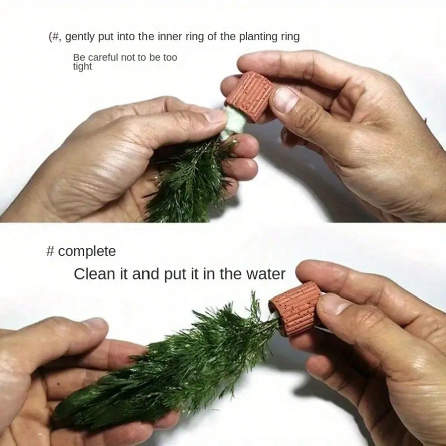 คุณภาพสูง Aquarium Plant Fixat - Aquarium Plant บทวิจารณ์และราคา