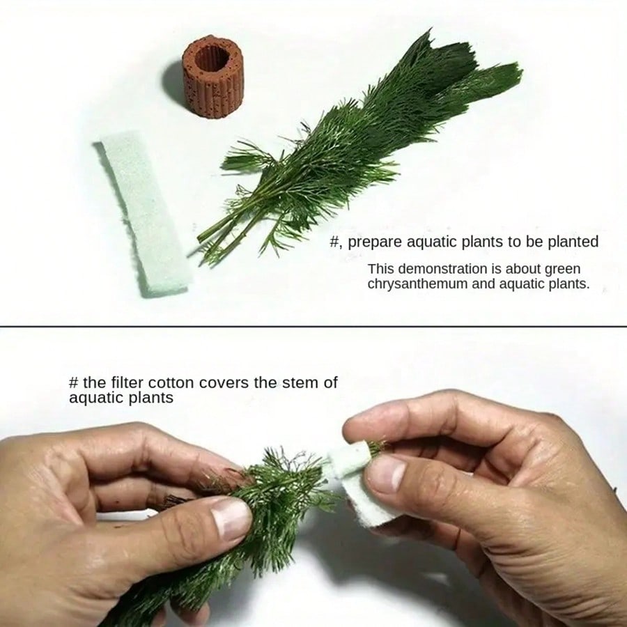 คุณภาพสูง Aquarium Plant Fixat - Aquarium Plant บทวิจารณ์และราคา