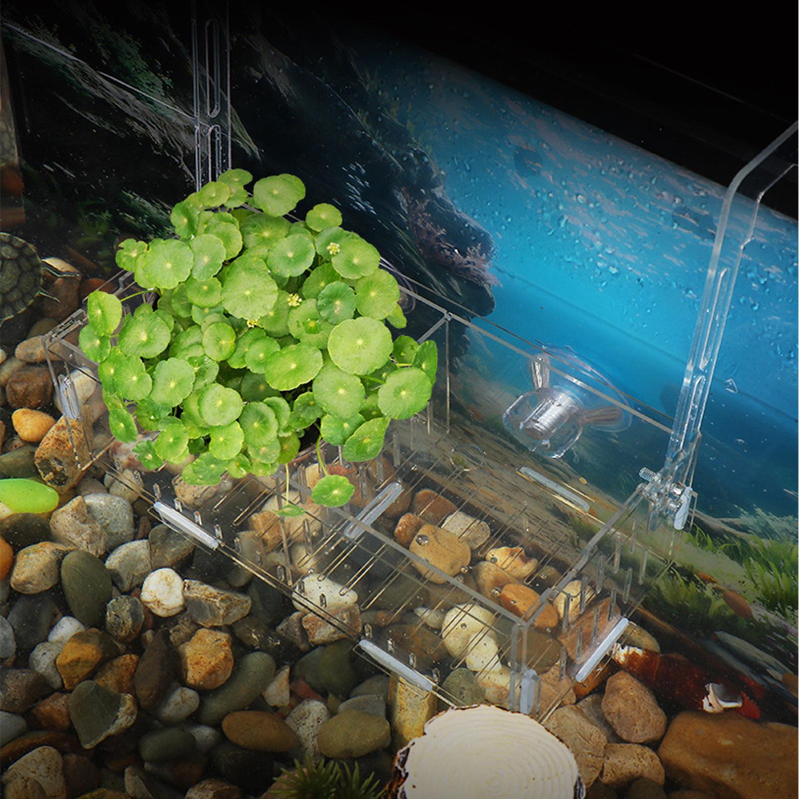 ที่แขวนต้นไม้ในตู้ปลาอะคริลิก  - Aquarium Plant Vine บทวิจารณ์และราคา