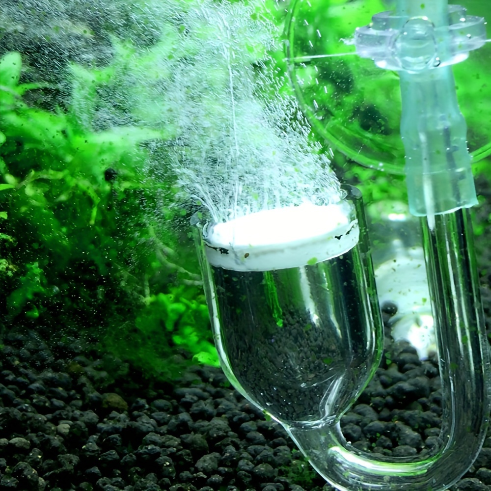 Aquarium Glass CO2 Atomizer Di - Aquarium Plant No Co2 บทวิจารณ์และราคา