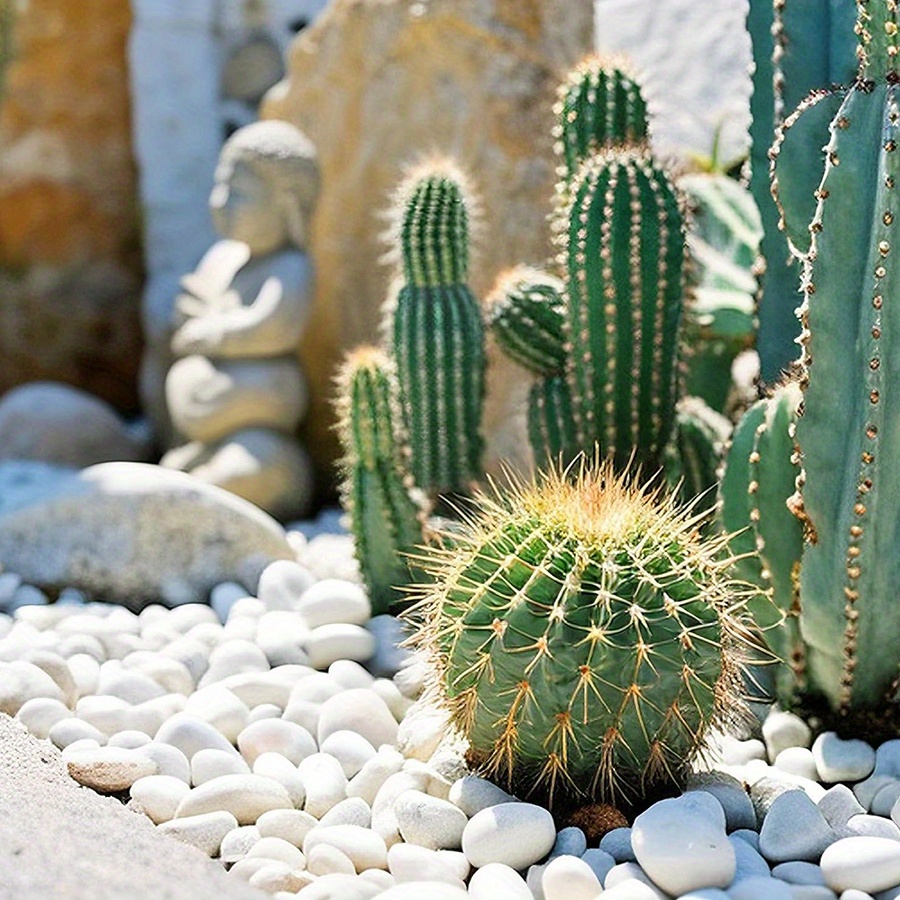 หินกรวดขัดเงาสีขาวธรรมชาติ ขนา - Aquarium Plant บทวิจารณ์และราคา