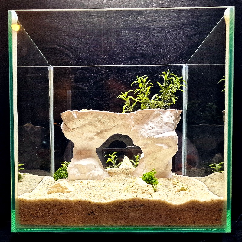 ตะกร้าปลูกต้นไม้ในตู้ปลาแบบพิม - Aquarium Planted Tank Soil บทวิจารณ์และราคา