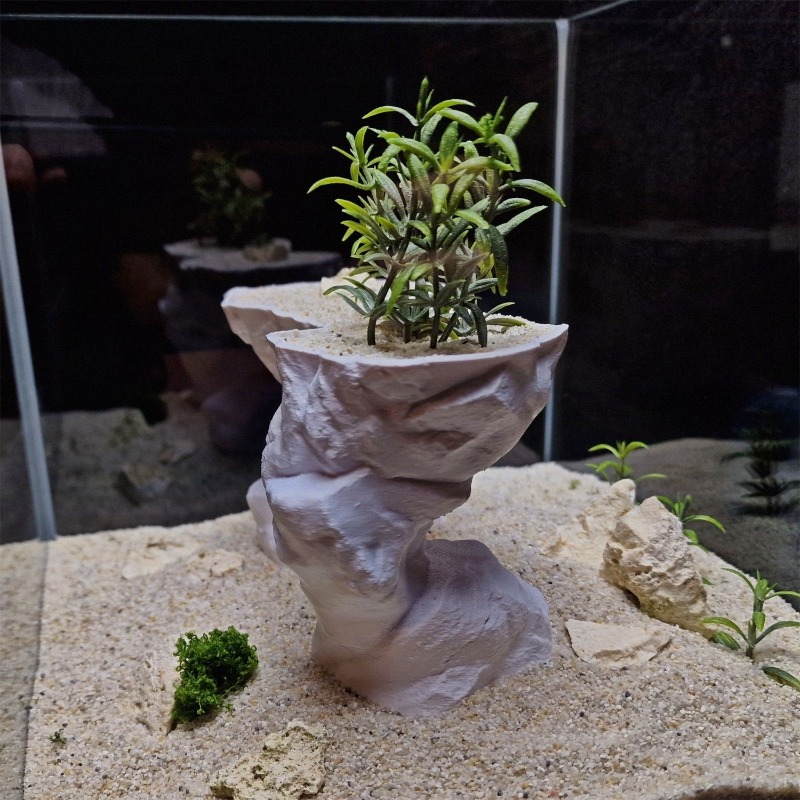 ตะกร้าปลูกต้นไม้ในตู้ปลาแบบพิม - Aquarium Planted Tank Soil บทวิจารณ์และราคา