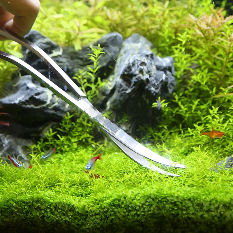 Aquarium กรรไกรเครื่องมือถังปล - Planted Aquarium Cleaning บทวิจารณ์และราคา