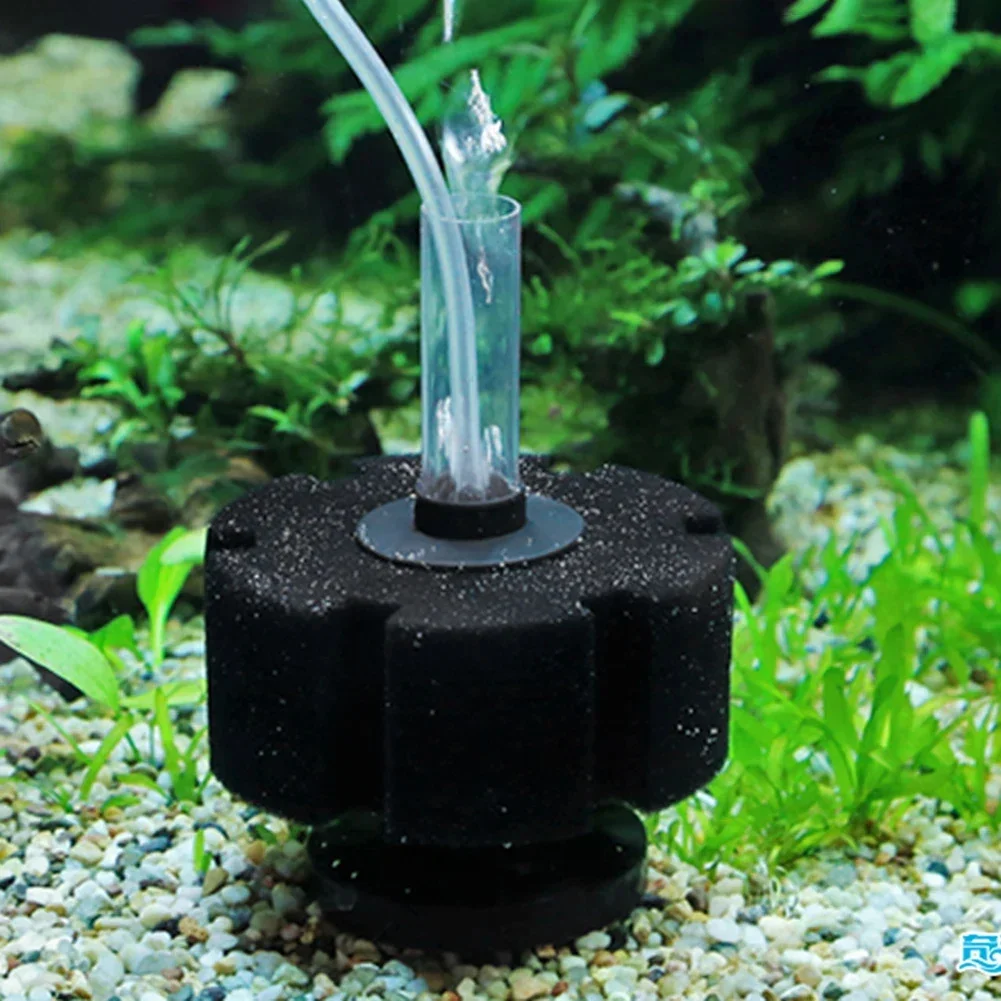 ฟองน้ำกรองตู้ปลา สำหรับปั๊มลมต - Aquarium Planted Filter บทวิจารณ์และราคา
