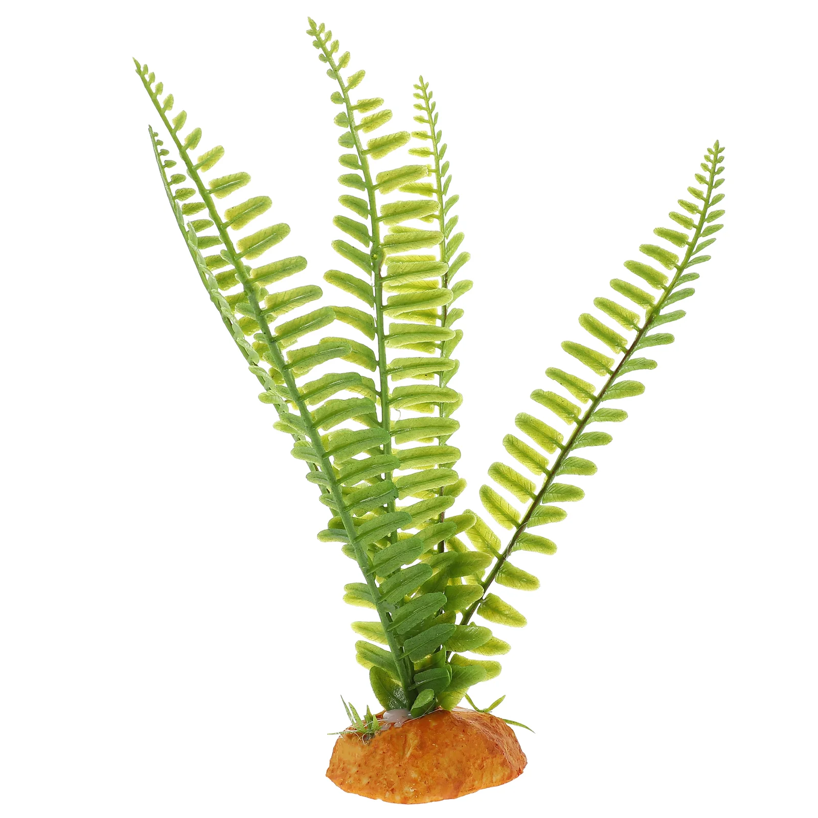 สัตว์เลื้อยคลานพืช Terrarium V - Aquarium Plant Vine บทวิจารณ์และราคา