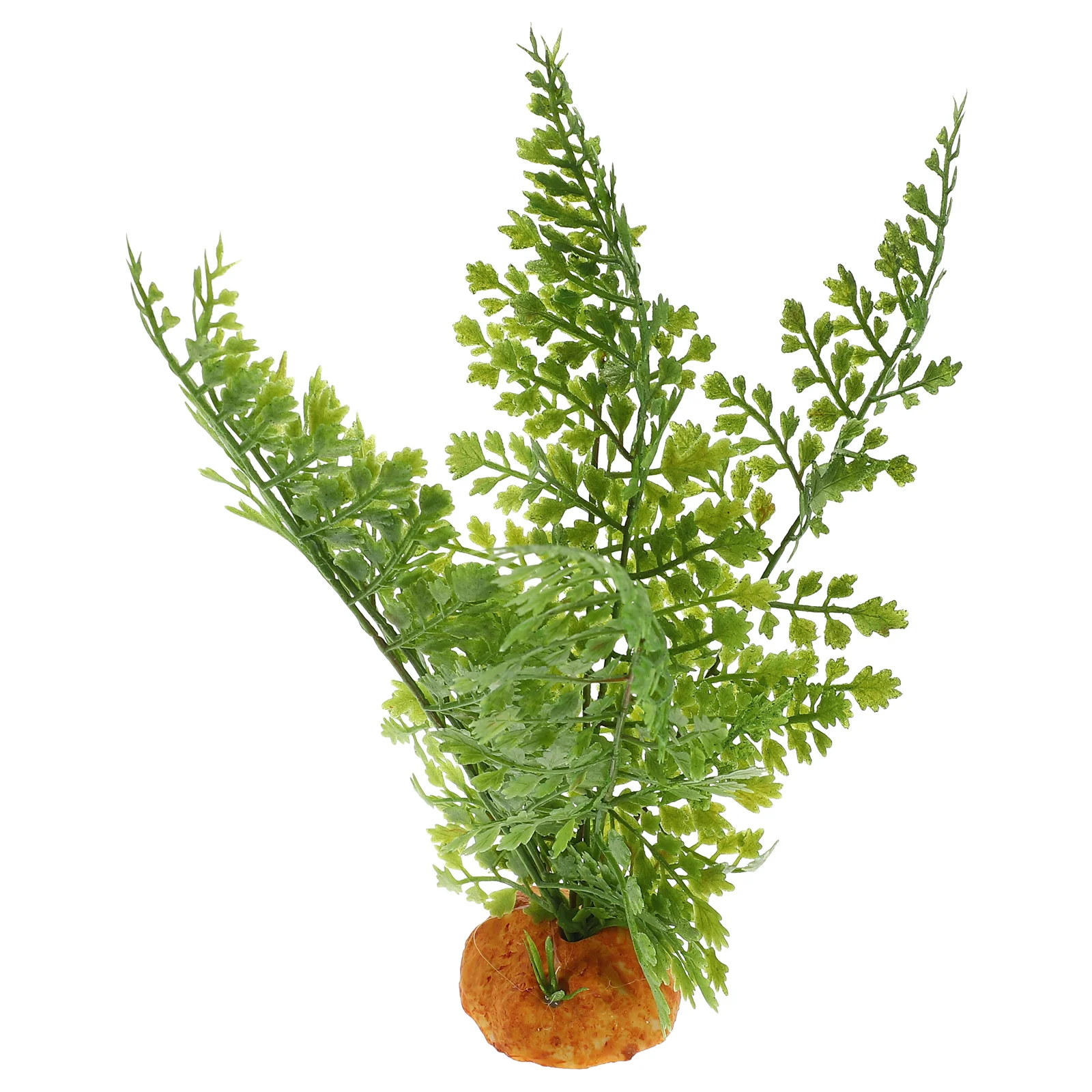 สัตว์เลื้อยคลานพืช Terrarium V - Aquarium Plant Vine บทวิจารณ์และราคา