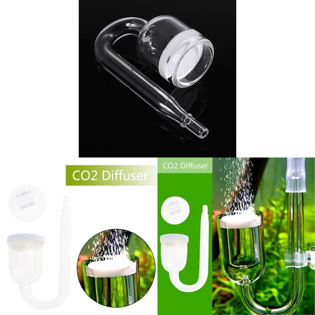 CO2 Diffuser เครื่องฉีดน้ำกระจ - Aquarium Plant No Co2 บทวิจารณ์และราคา
