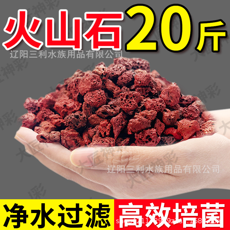 หินลาวาสีแดงธรรมชาติแบบมีรูพรุ - Aquarium Planted Tank Soil บทวิจารณ์และราคา