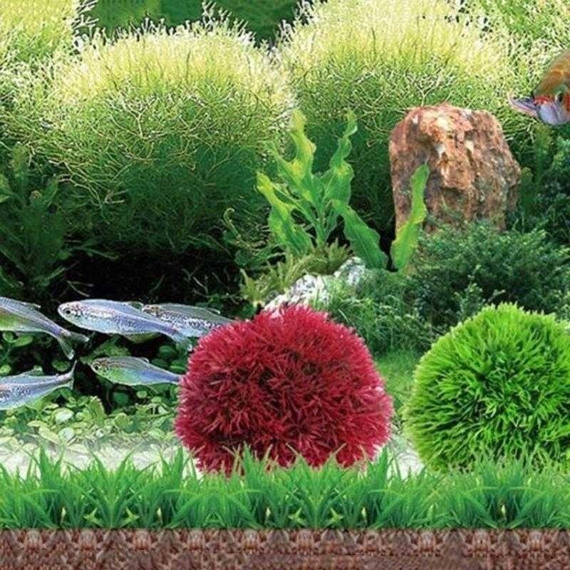 พืชประดับตู้ปลาพลาสติกจำลอง ปี - Aquarium Plant บทวิจารณ์และราคา