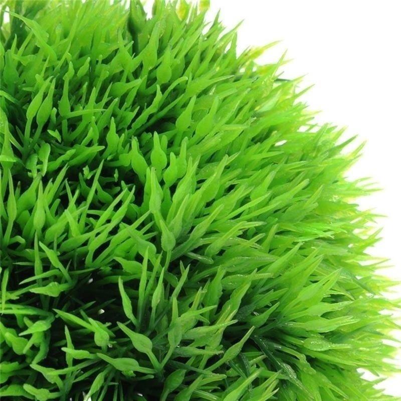 พืชประดับตู้ปลาพลาสติกจำลอง ปี - Aquarium Plant บทวิจารณ์และราคา