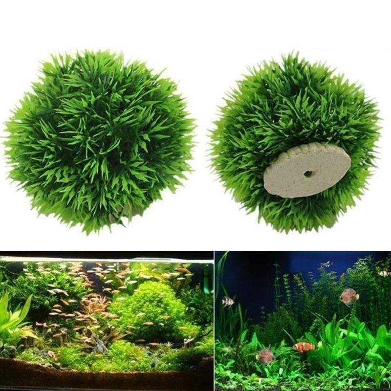 พืชประดับตู้ปลาพลาสติกจำลอง ปี - Aquarium Plant บทวิจารณ์และราคา