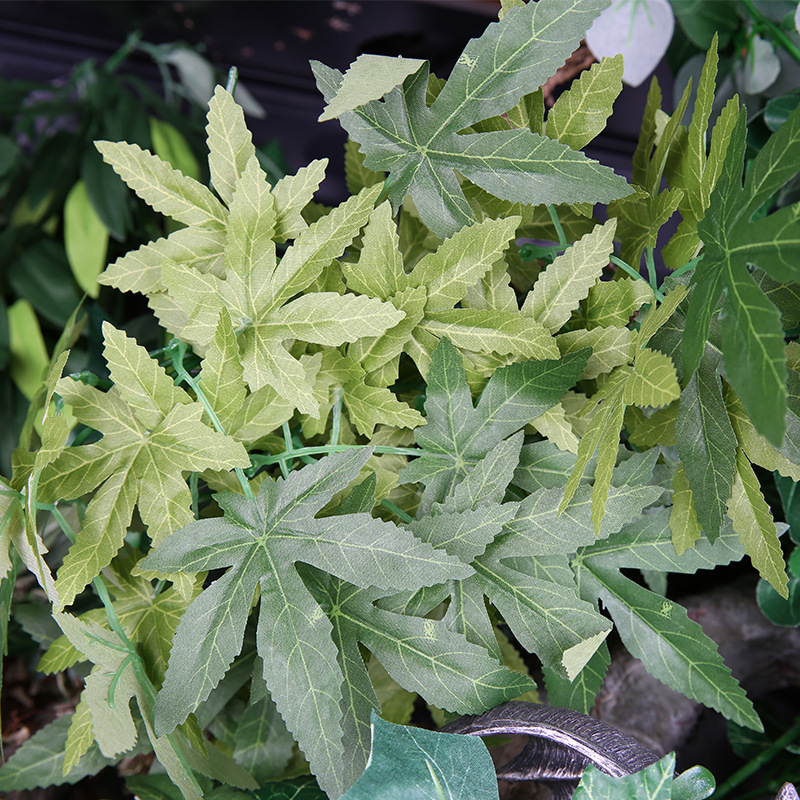 ต้นไม้ประดิษฐ์เรปติซูสำหรับตู้ - Aquarium Plant Vine บทวิจารณ์และราคา