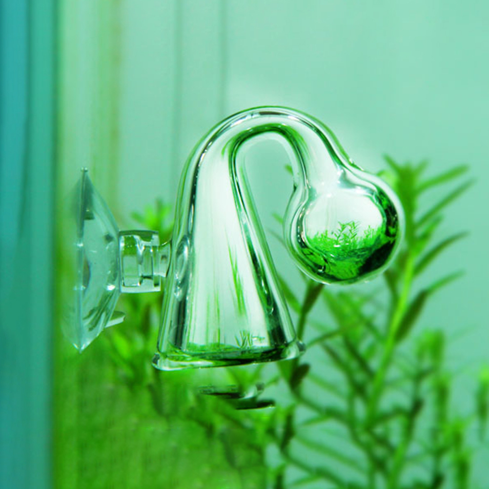 CO2สำหรับตู้ปลาที่ตรวจสอบการตก - Aquarium Plant No Co2 บทวิจารณ์และราคา