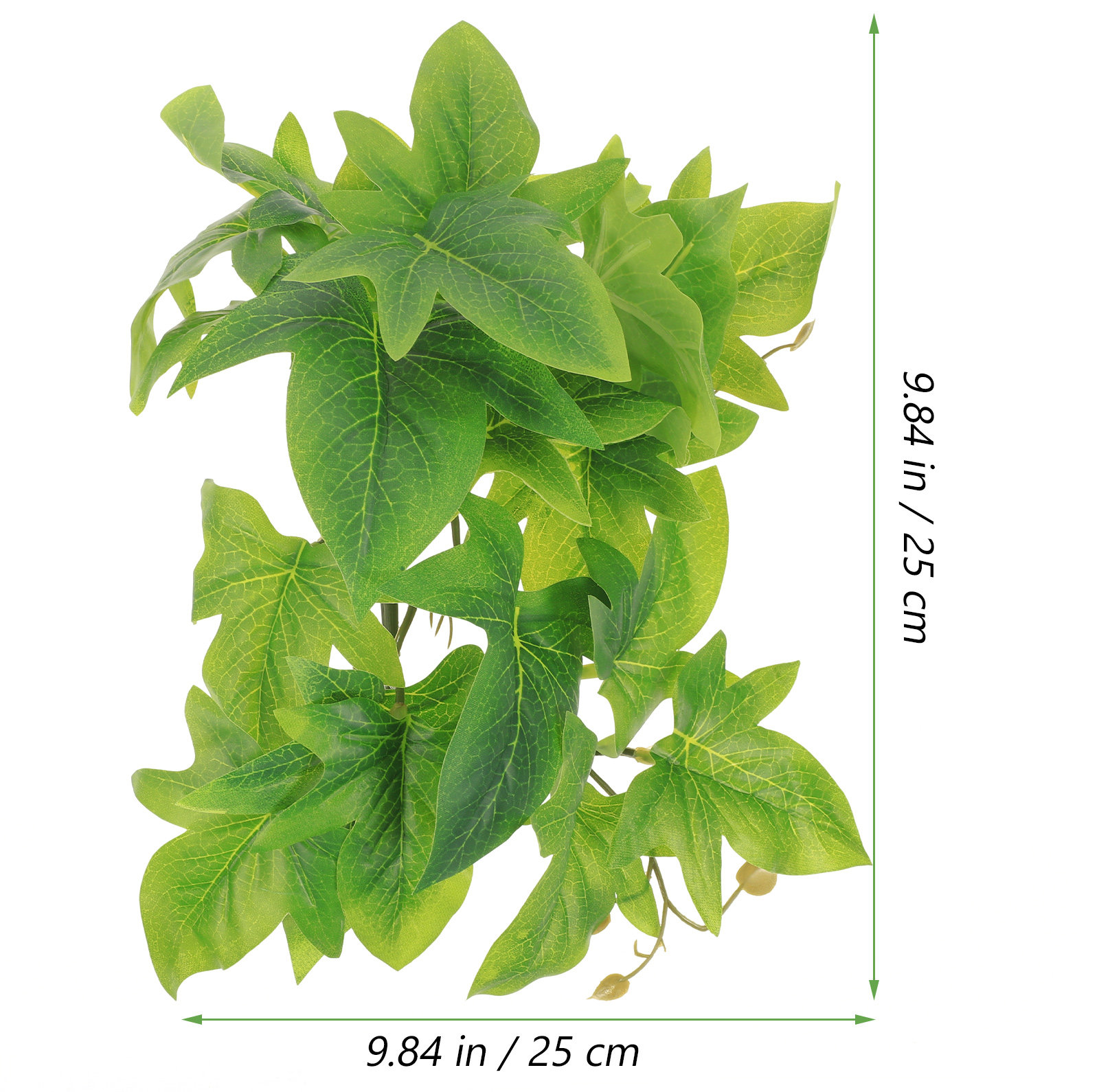 ต้นไม้ประดับติดผนังสำหรับตู้เล - Aquarium Plant Vine บทวิจารณ์และราคา