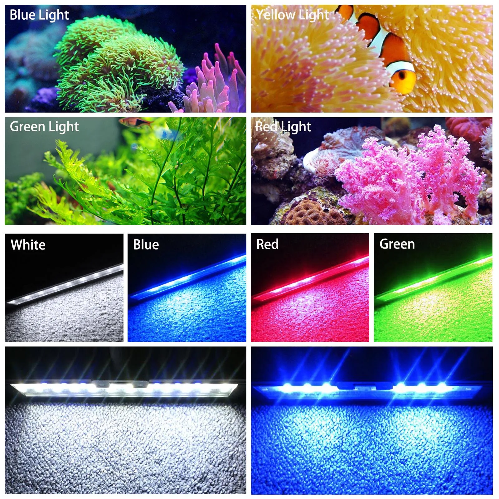 ไฟเลี้ยงปลา Liweida 24 ชั่วโมง - Aquarium Plant Lab บทวิจารณ์และราคา